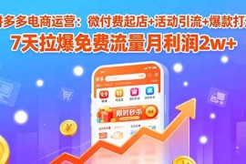 （15960期）拼多多电商运营：微付费起店 活动引流 爆款打造 7天拉爆免费流量月利润2w 