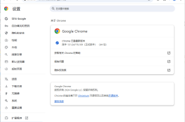 Google Chrome v147.0.7727.117便携增强版