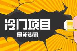 普通人容易忽略的冷门项目，仅靠一部手机，1小时复制粘贴零撸50 