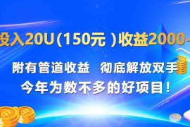 投入20u（150元 ）收益2000  附有管道收益 彻底解放双手 今年为数不多的好项目！