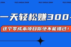 （13702期）零成本入门！简单几步开启一天300 的赚钱之路！
