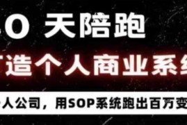 40天陪跑打造个人商业系统，一人公司，用SOP系统跑出百W变现