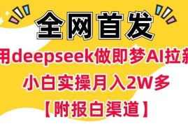 用deepseek做即梦Ai拉新 小白实操月入过W 【附报白渠道】