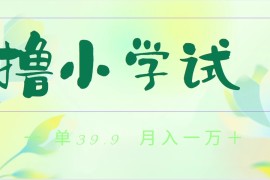 全网独家蓝海冷门项目，0撸小学试卷，一单39.9，小白可做，简单无脑月入一万 的好项目