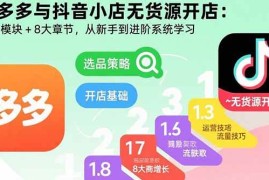 （15805期）拼多多与抖音小店无货源开店：五大模块 8大章节，从新手到进阶系统学习