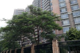 金立e5(金立ELIFE S51)