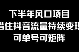 下半年风口项目，借住抖音流量持续变现，可单号可矩阵