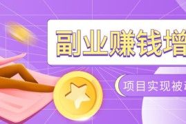 985十年互联网老兵亲测：2026年多个真实落地副业项目，手把手带你搭建被动收入管道(淘宝无人直播、TK拉新、代运营、CSGO……)【揭秘】