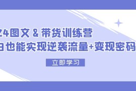 （12137期）2024 图文 带货训练营，小白也能实现逆袭流量 变现密码