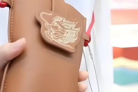 苹果皮520(苹果皮520二代)