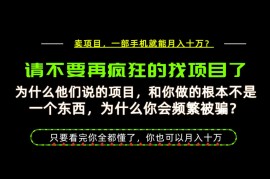 为什么做项目的人大多都是炮灰？为什么只有卖项目才能稳？看完你也可以月入10W 【揭秘】