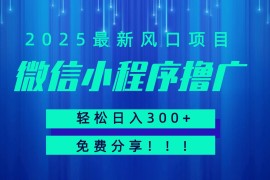 微信小程序撸广，最新风口项目，日入300  免费分享 可批量操作 小白可轻松上手！！