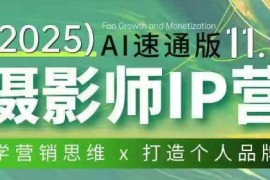 摄影师IP营第十一期Al速通版，学营销思维 打造个人品牌