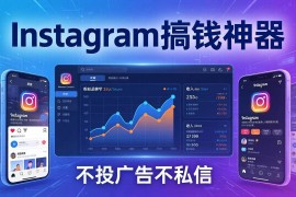 （17731期）Instagram搞钱神器：月涨6万粉 月入5万刀，不投广告不私信，靠算法 低价产品