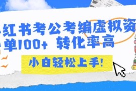 小红书考公考编虚拟资料出售一单100  转化率高 小白可轻松上手