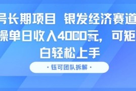 视频号长期项目 银发经济赛道 单账号实操单日收入1k，可矩阵 小白轻松上手