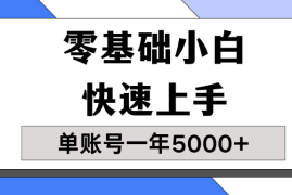 【蓝海项目】零基础小白也能快速上手，单账号一年5000 ，一人可操作19个账号！