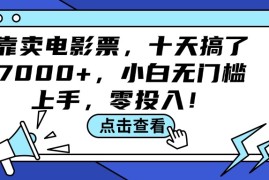 （12161期）靠卖电影票，十天搞了7000 ，小白无门槛上手，零投入！