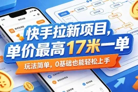 快手拉新项目，单价最高17米一单，玩法简单，0基础也能轻松上手(更新08月27日)