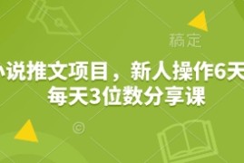 小说推文项目，新人操作6天，每天3位数分享课