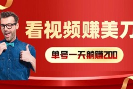 看视频赚美刀：每小时40 ，多号矩阵可放大收益【揭秘】