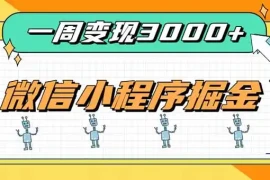 一周3000 的微信小程序，通过四种变现方式稳定增收，最强积累型副业