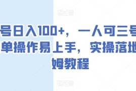 单号日入100 ，一人可三号，简单操作易上手，实操落地保姆教程【揭秘】
