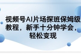 视频号AI片场探班保姆级教程，新手十分钟学会，轻松变现