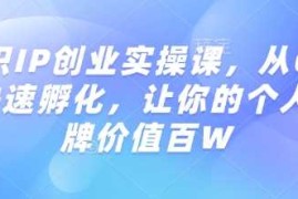知识IP创业实操课，从0到1快速孵化，让你的个人品牌价值百W