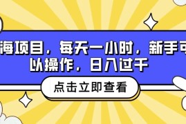 蓝海项目，每天一小时，新手可以操作，日入过千