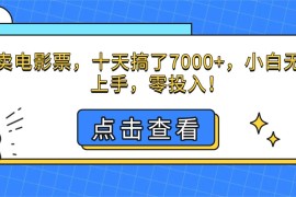 （16373期）靠卖电影票，十天搞了7000 ，小白无门槛上手，零投入！