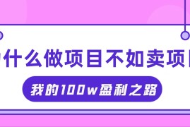 （11893期）抓住互联网创业红利期，我通过卖项目轻松赚取100W 