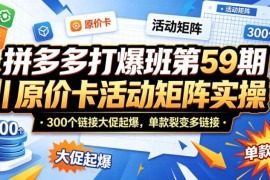 拼多多打爆班第59期｜原价卡活动矩阵实操，300个链接大促起爆，单款裂变多链接