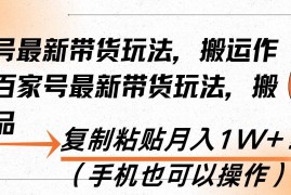 （13580期）百家号最新带货玩法，搬运作品，复制粘贴月入1W ！（手机也可以操作）