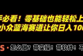 新手必看！零基础也能轻松上手，腾讯小众蓝海赛道让你日入1000 ！