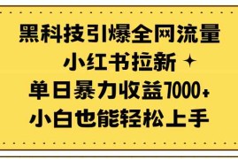 （9679期）黑科技引爆全网流量小红书拉新，单日暴力收益7000 ，小白也能轻松上手
