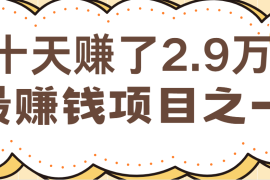 闲鱼小红书最赚钱项目之一，纯手机操作简单，小白必学轻松月入6万 