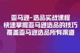亚马逊选品实战课程，快速掌握亚马逊选品的技巧，覆盖亚马逊选品所有渠道
