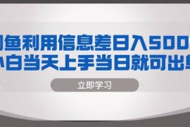 （13170期）闲鱼利用信息差 日入500  小白当天上手 当日就可出单