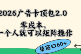 2026广告自动卡顶包2.0玩法，单窗口60+零成本、直接省略复杂人工步骤【揭秘】