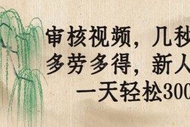 （14203期）审核视频，几秒一单，多劳多得，新人小白一天轻松300 