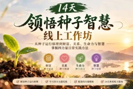 14天领悟种子智慧线上工作坊｜从种子运行原理到财富、关系、生命力与智慧，掌握四力量日常实践方法