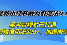 （12505期）最新小红书暴力引流法4.0， 全平台模式已打通，日精准引流300 ，加爆微…