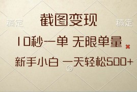 （13690期）截图变现，10秒一单，无限单量，新手小白一天轻松500 