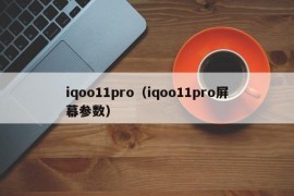 iqoo11pro（iqoo11pro屏幕参数）