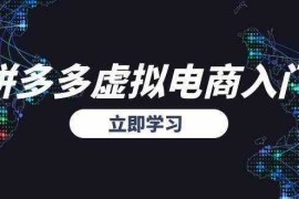 拼多多虚拟电商入门，精准选品方法论，无货源模式起盘技巧