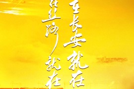 手机官方网站(vivo智能手机官方网站)