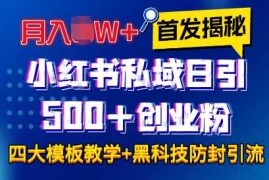 首发揭秘小红书私域日引500 创业粉四大模板，月入过W 全程干货!没有废话!保姆教程!