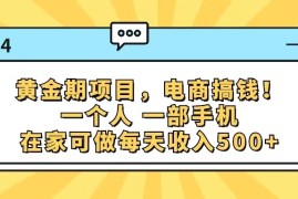 （11749期）黄金期项目，电商搞钱！一个人，一部手机，在家可做，每天收入500 