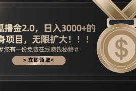 （11196期）搜狐撸金2.0日入3000 ，可无限扩大的翻身项目